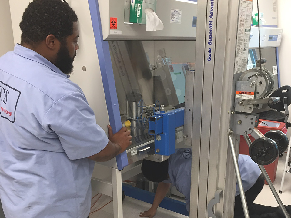 IT Equipment Setup & Removal Services