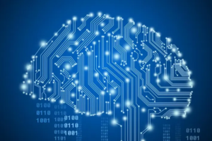 Managed IT services comparison Rhumbu LLC versus TeamLogic IT in Wisconsin