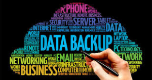 Rhumbu LLC IT technician performing data backup for Green Bay business servers