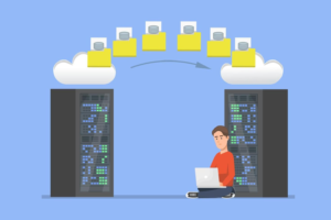 :IT consulting services in Appleton