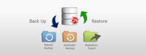 Disaster recovery flowchart highlighting step-by-step process for data restoration