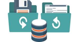 Remote workforce backup solution using endpoint protection
