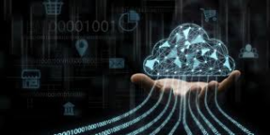 Cloud computing service architecture with virtual servers and data centers