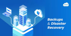 Remote workforce backup solution using endpoint protection