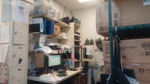 Green Bay local business growth